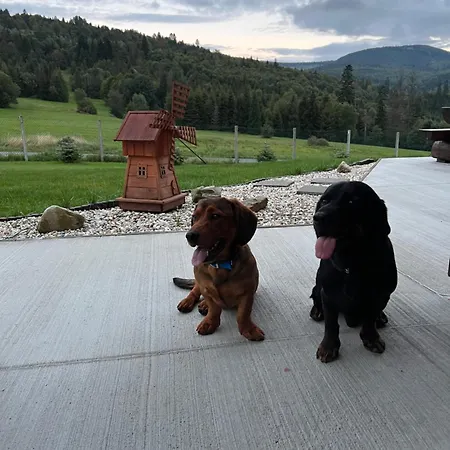 Chalet Chalety Vrescovske Sedlo Skalite